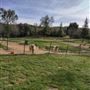 New Leaf Llama Farm