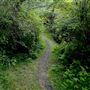Azalea State Natural Reserve (SNR)