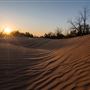 Heber Dunes State Vehicular Recreation Area (SVRA)