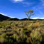 Hungry Valley State Vehicle Recreation Area - SVRA