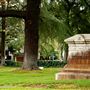 East Lawn Memorial Park