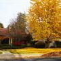 Land Park