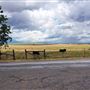 Various Rural Farms And Ranches