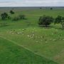 Various Rural Farms And Ranches