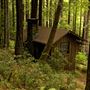 Mendocino Woodlands State Park (SP)