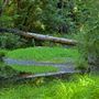 Navarro River Redwoods State Park (SP)
