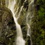 Smithe Redwoods State Natural Reserve (SNR)