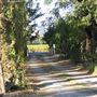 Hollyhock Country Ranch