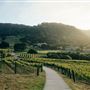 Carmel Valley Ranch Hotel