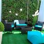 The Oasis