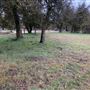 Red Thorne Ranch / The Barn Loft / Mini Petting Zoo