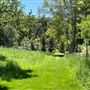 Canyon Ranch