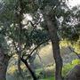 Canyon Ranch