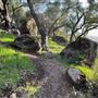 Canyon Ranch