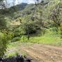 Canyon Ranch