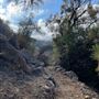 Canyon Ranch