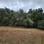 Franklin Canyon Park - Santa Monica Mountains Conservancy - SMMC