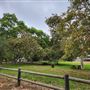 Franklin Canyon Park - Santa Monica Mountains Conservancy - SMMC