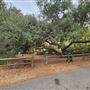 Franklin Canyon Park - Santa Monica Mountains Conservancy - SMMC