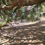 Franklin Canyon Park - Santa Monica Mountains Conservancy - SMMC