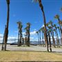 Riverside County Fair & National Date Festival