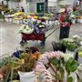 The Original Los Angeles Flower Market