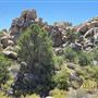 160 Acres
