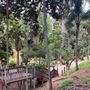 Balboa Park