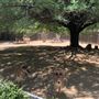 Los Angeles Zoo & Botanical Gardens - LA Zoo