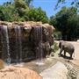 Los Angeles Zoo & Botanical Gardens - LA Zoo
