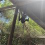 Los Angeles Zoo & Botanical Gardens - LA Zoo