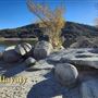 Lake Hemet - Forest Service Picnic Area