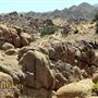 One45 - Desert Rocks