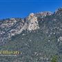 Idyllwild Nature Center - Forest