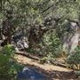 Idyllwild Regional Park