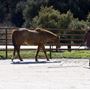 Red Cloud Ranch