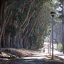 Presidio Trust - BRAC