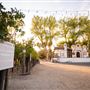 California Mid-State Fair - 16th DAA