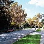 Hancock Park Neighborhood