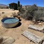 1950's Desert Dream Rec Cabin