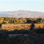 Kemper Campbell Ranch