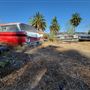 Cadillac Jacks Cafe & Pink Motel