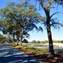 Western Placer County Roads