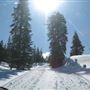 Kingvale Resort