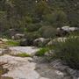 Stone Meadows Ranch