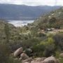 Stone Meadows Ranch