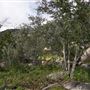 Stone Meadows Ranch