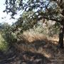 DLX Ranch