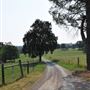 Sinclair Family Farm