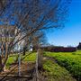 Ahart Farm